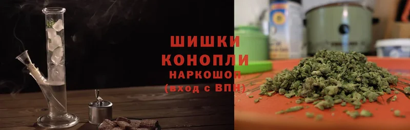 хочу   Гатчина  гидра сайт  Шишки марихуана OG Kush 